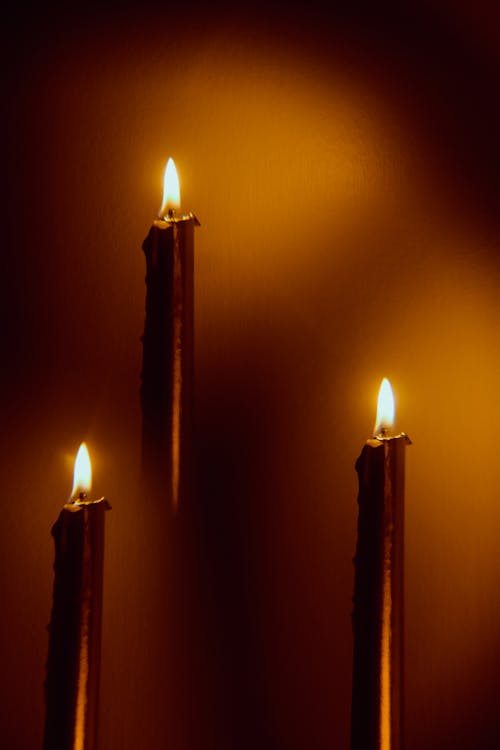Foto profissional grátis de castiçais, chamas, iluminado por trás
