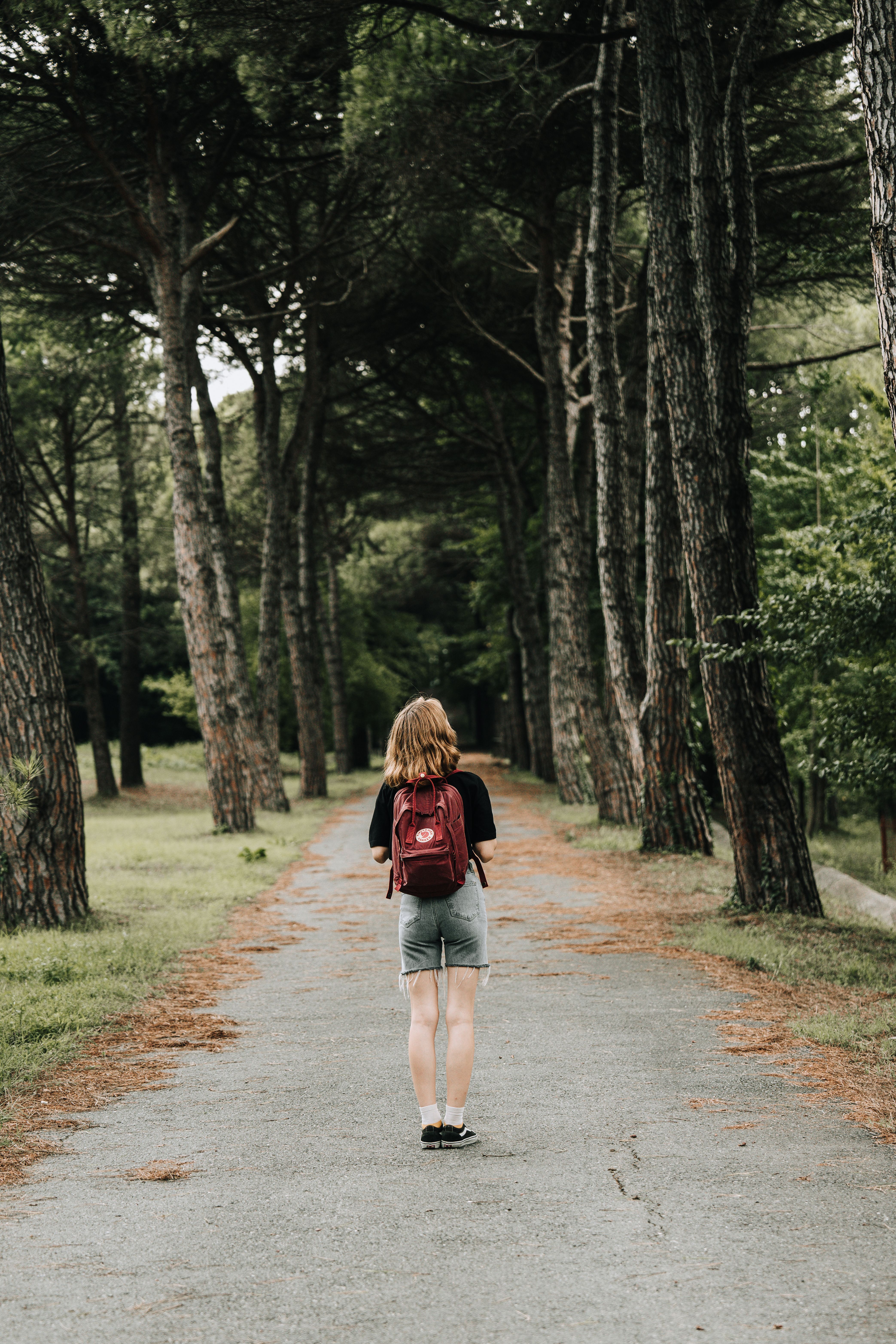 Person walking tall along a tree-lined forest path with a snug backpack, seen from behind
