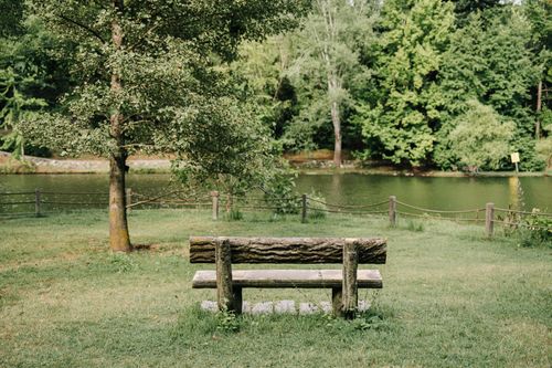 Free Wooden bench in a lush park by the river in summer, offering tranquility and nature's embrace. Stock Photo