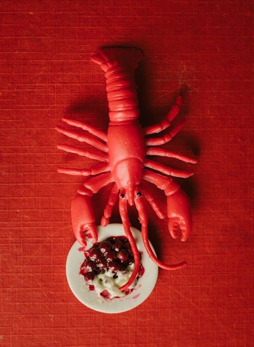 Plastic Lobster near Plate with Food on Red Table Background