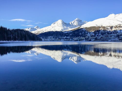 Základová fotografie zdarma na téma hory, les, modrá obloha