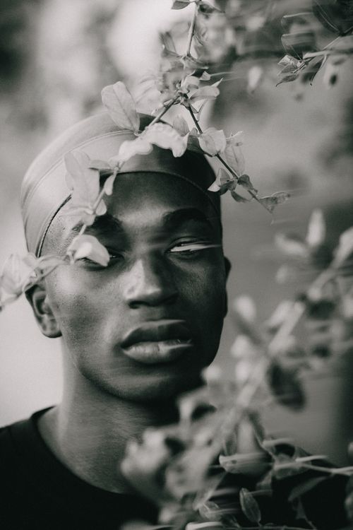 Free A striking black and white portrait of a man with closed eyes interwoven with leaves, creating a serene and artistic effect. Stock Photo