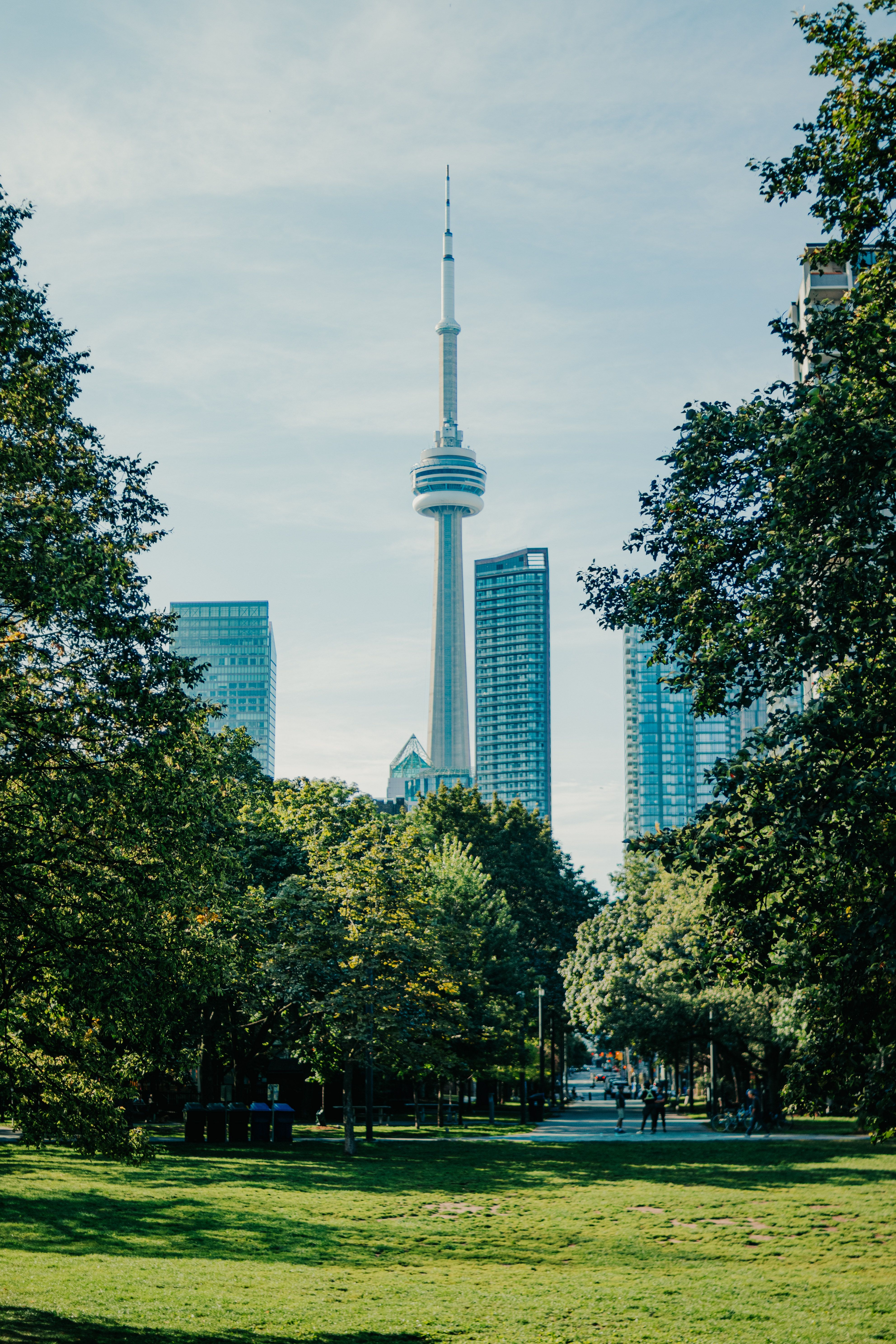 Green Park in Modern City with Skyscrapers · Free Stock Photo