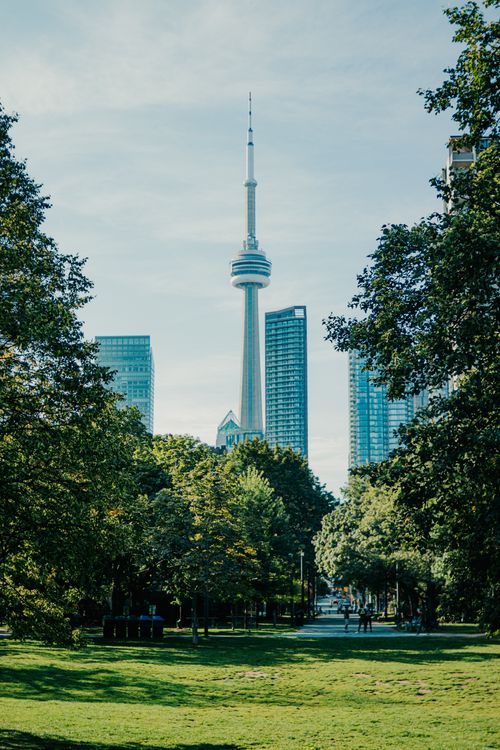 Free A picturesque view of the CN Tower framed by trees in a city park, showcasing Toronto's skyline. Stock Photo