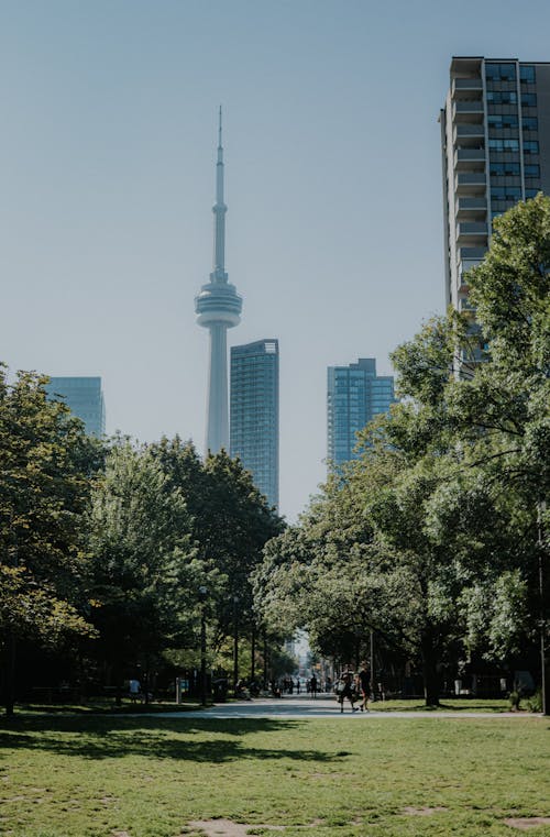 Free CN Tower in Toronto Seen from Park Stock Photo