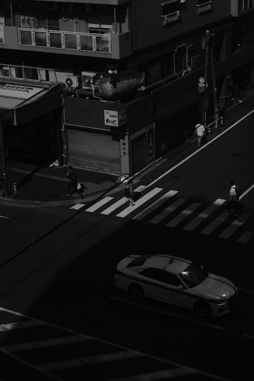 Immagine gratuita di attraversamento pedonale, bianco e nero, città