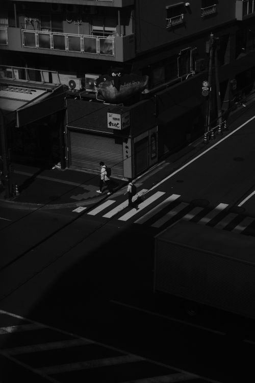 Free A high contrast aerial view of city streets with people crossing a zebra crossing. Stock Photo