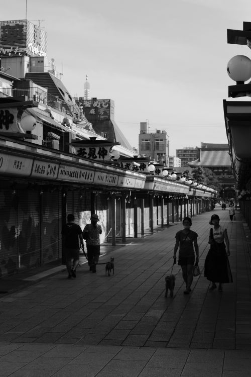 Free Black and white image of a bustling Tokyo street featuring Japanese architecture and people walking. Stock Photo