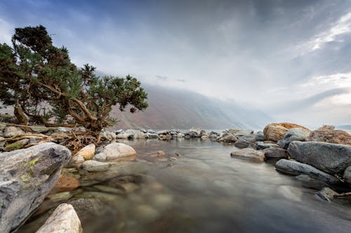 Scenic Seashore in Fog