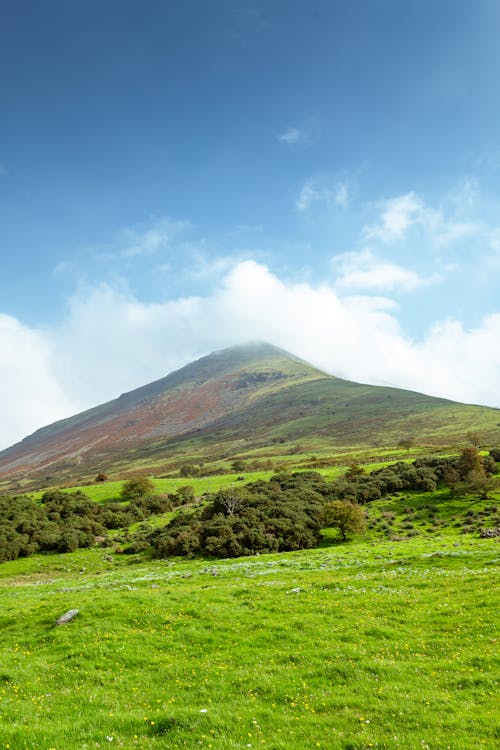 Бесплатное стоковое фото с вертикальный выстрел, гора, зеленый