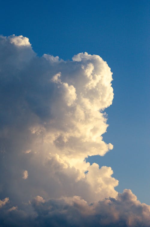 Základová fotografie zdarma na téma mraky, načechraný, obloha