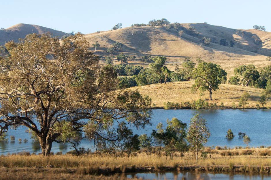 serene Australian natural landscape representing peace and healing in recovery serene Australian natural landscape representing peace and healing in recovery