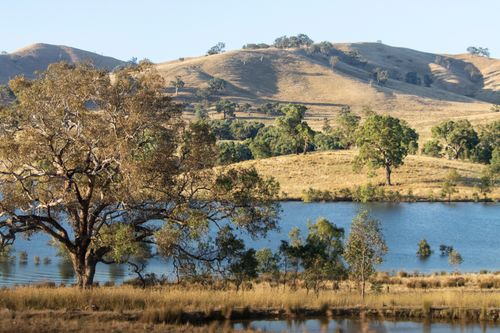 Free Tranquil scene of hills, lake, and trees in Bonnie Doon, Victoria. Stock Photo