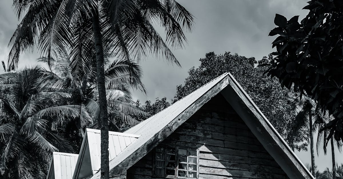 Photo by Godwin Torres Monochrome image of a rustic tropical bungalow surrounded by palm trees.