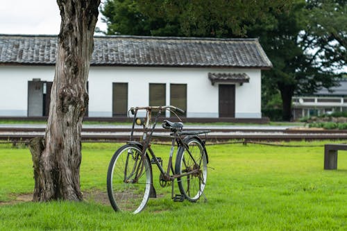 Old-fashioned Bike Standing in Rural Yard