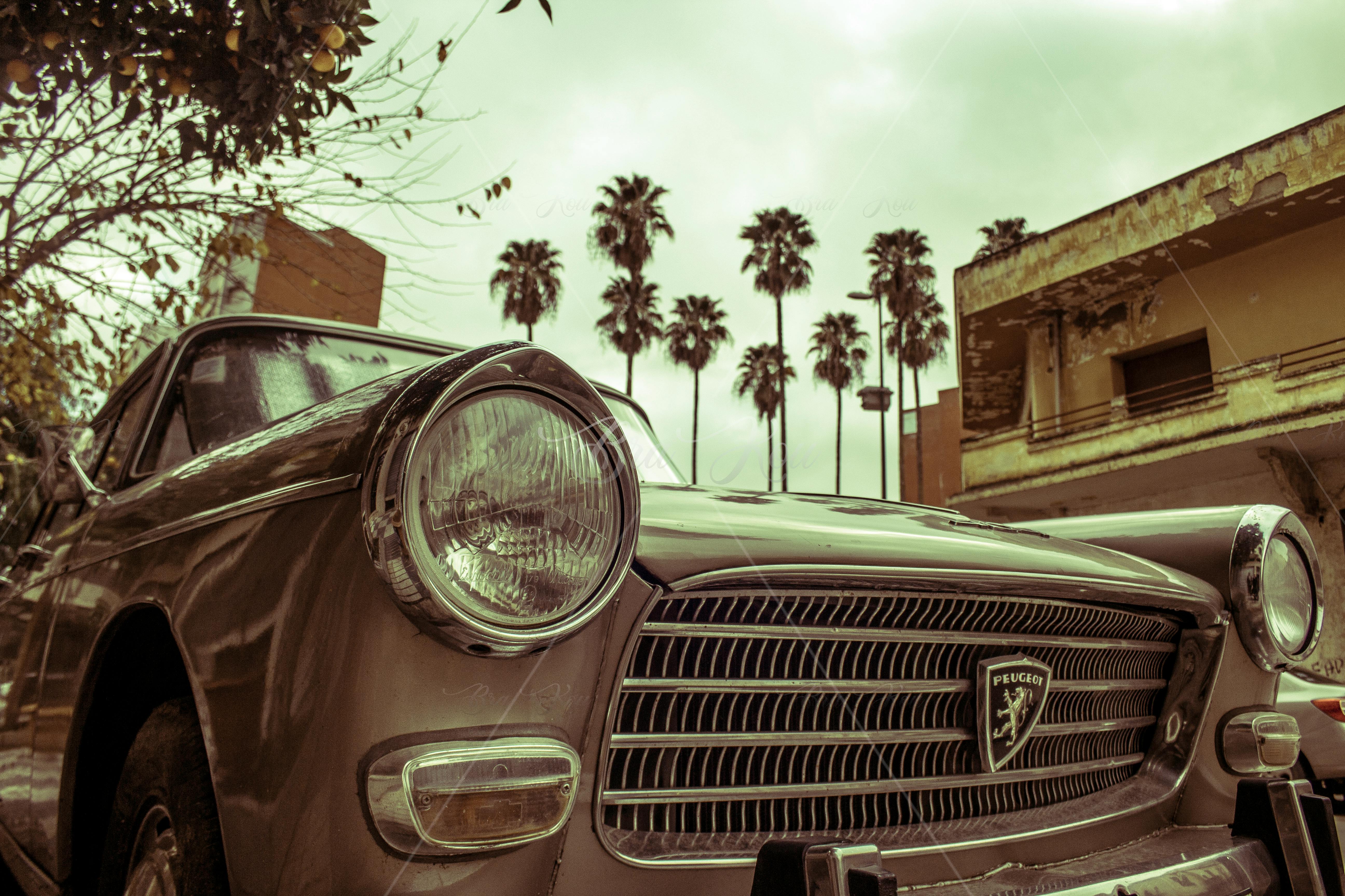 1950年的 世紀50年代 傑作的免費圖庫相片