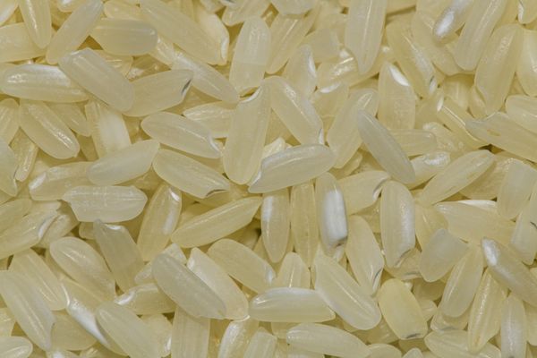 Rice grains macro