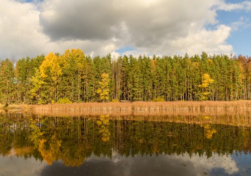 Fotobanka s bezplatnými fotkami na tému jazero, jeseň, krajina