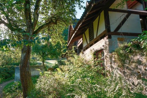 Free Rustic cottage nestled in lush greenery with a large tree, perfect for a serene escape. Stock Photo