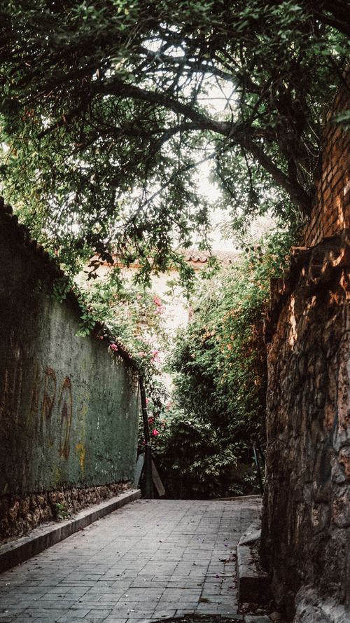 Free A peaceful alleyway with lush green trees and rustic stone walls. Ideal for serene urban escapes. Stock Photo