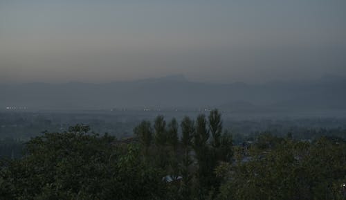 Kostnadsfria Kostnadsfri bild av bergen, dimma, fält Stock foto