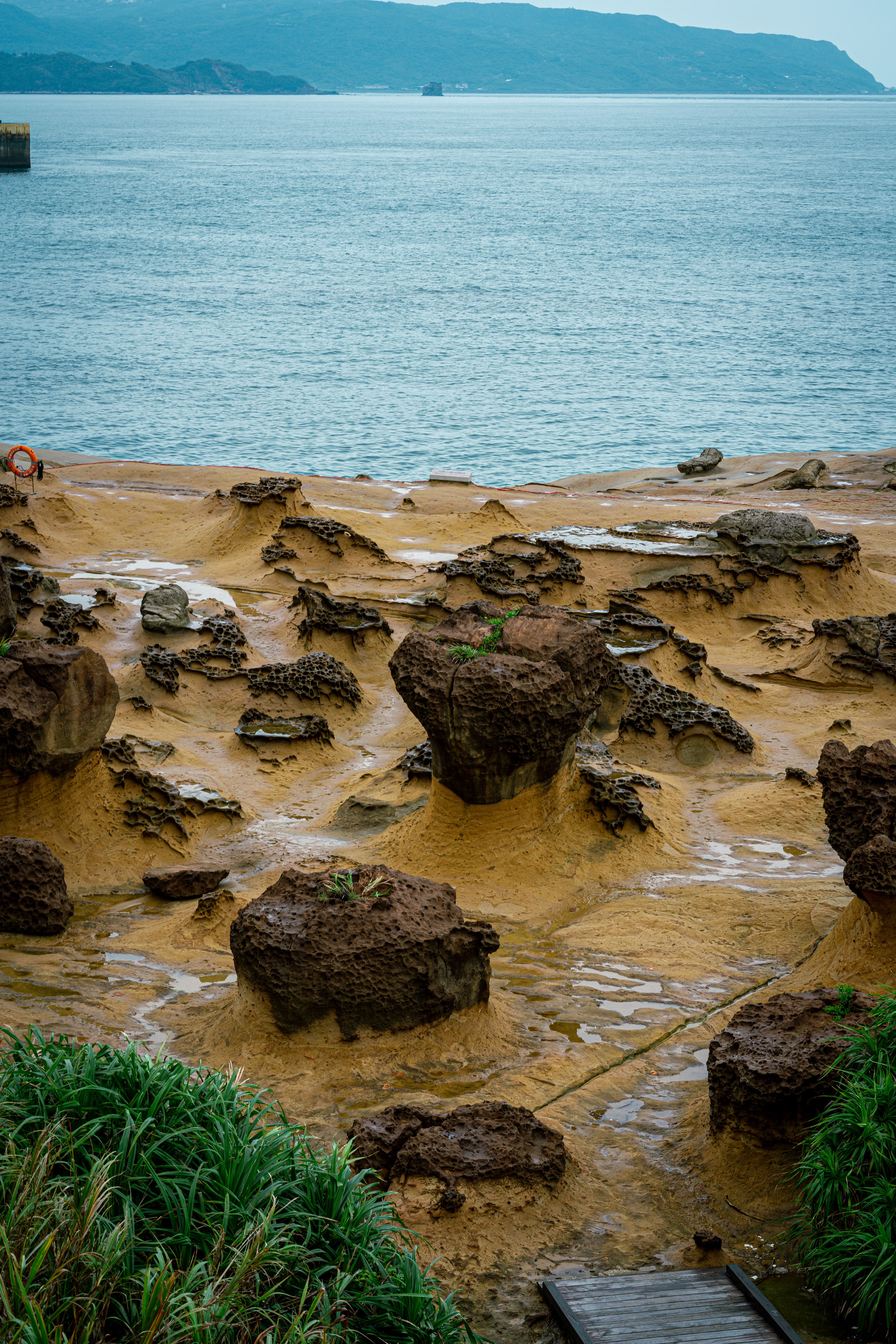 Eroded Rock Formations on Sea Shore in Yehliu Geopark in Taiwan · Free ...
