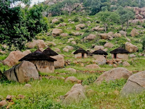 Kostnadsfri bild av afrikansk, afrikanskt hus, Arv