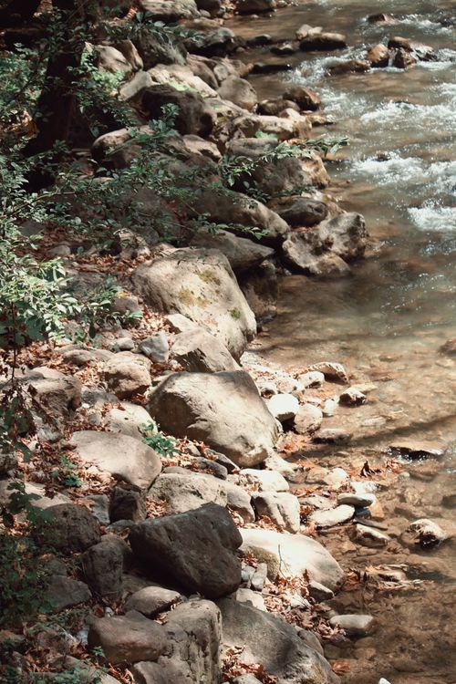 Free A tranquil riverbank features smooth rocks and a gently flowing stream, perfect for nature enthusiasts. Stock Photo