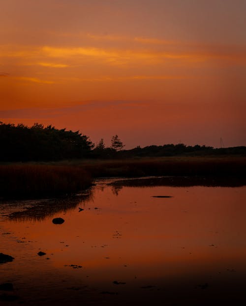 Gratis arkivbilde med daggry, innsjø, landlig