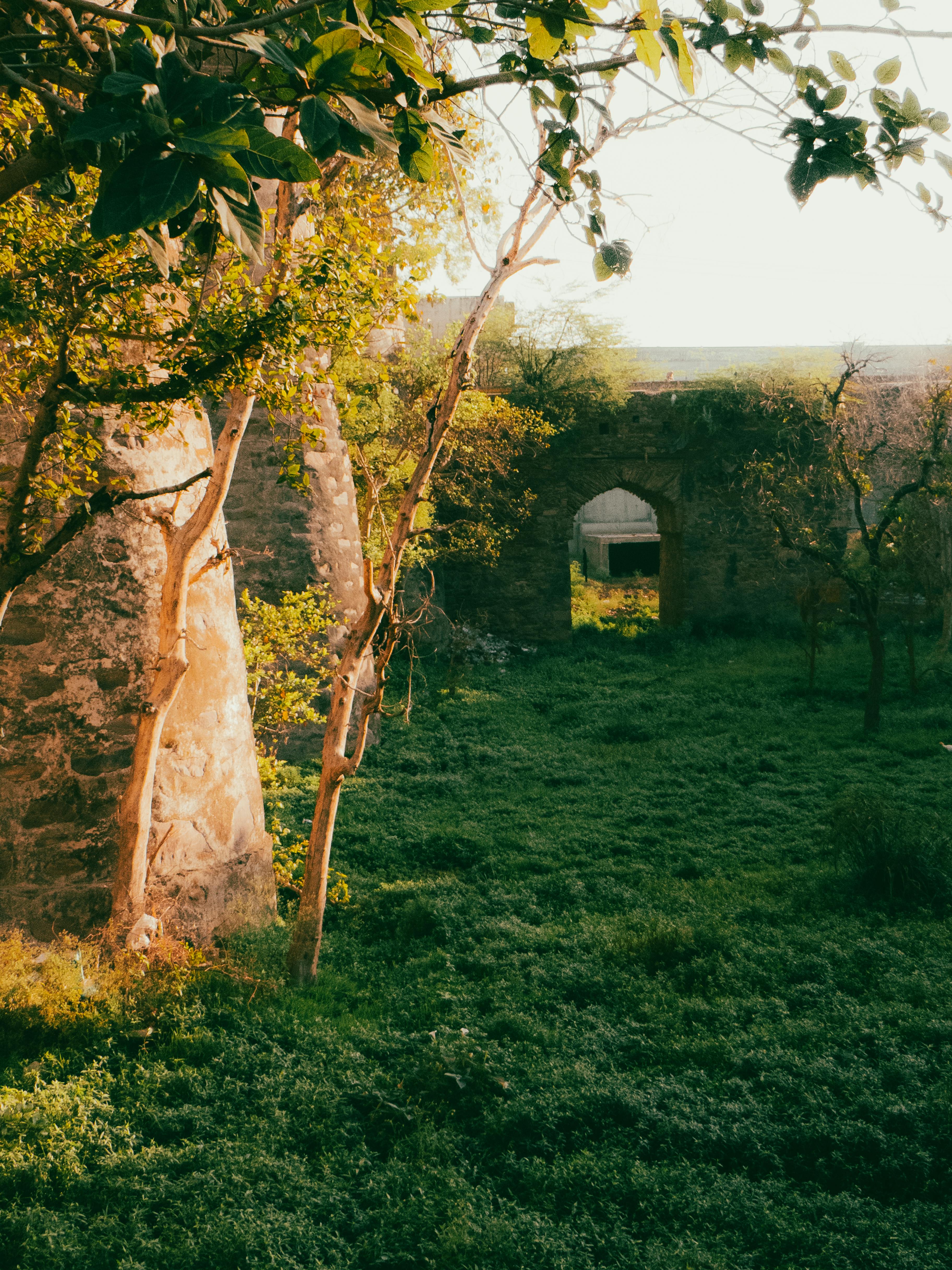 Explore the mystical ruins of a stone castle surrounded by lush greenery under the summer sunlight.