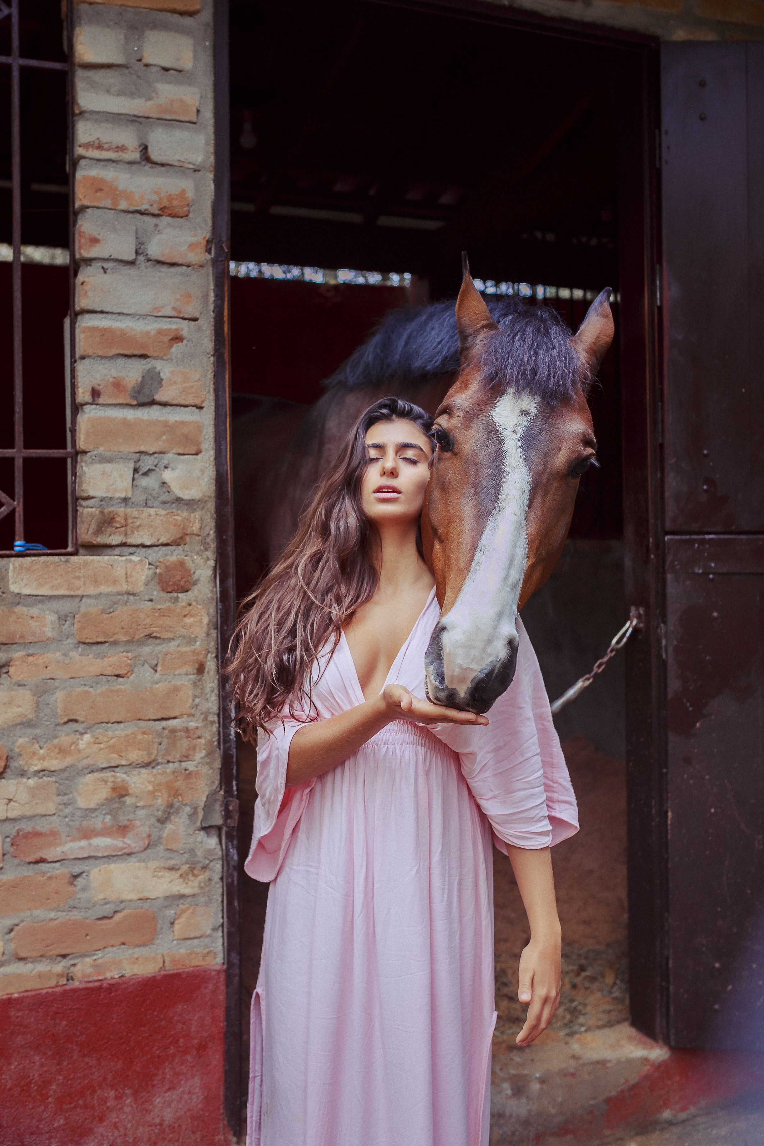 Woman Standing In Front Of Horse · Free Stock Photo