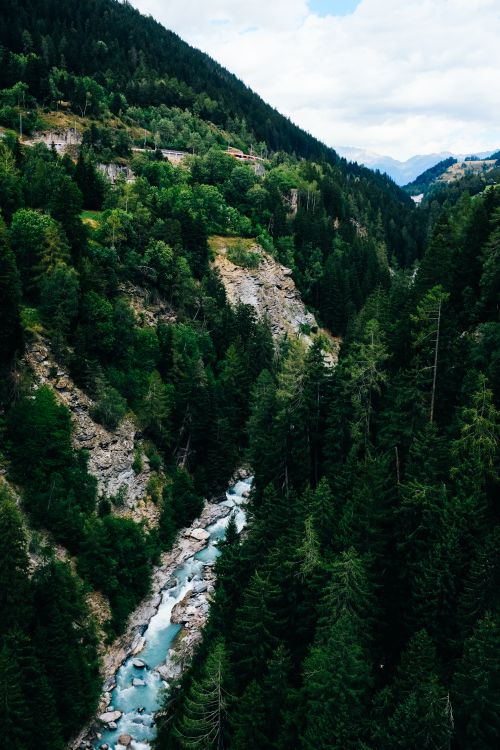 Free A breathtaking aerial view of a forested valley with a winding river and mountainous backdrop. Stock Photo