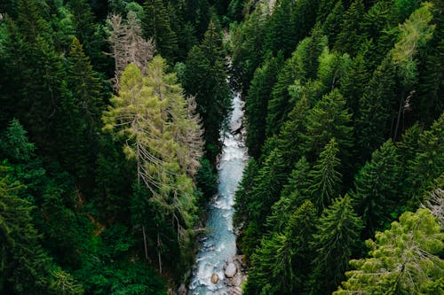 Waterfall in Forest in Birds Eye View