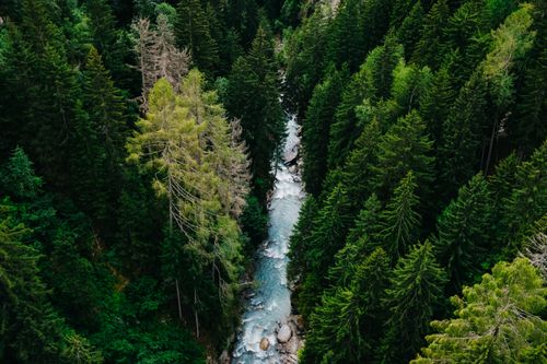 Free Stunning aerial image of a river cutting through a dense green forest. Stock Photo