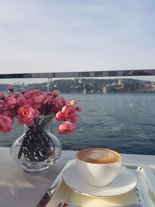 Free istanbul  Stock Photo