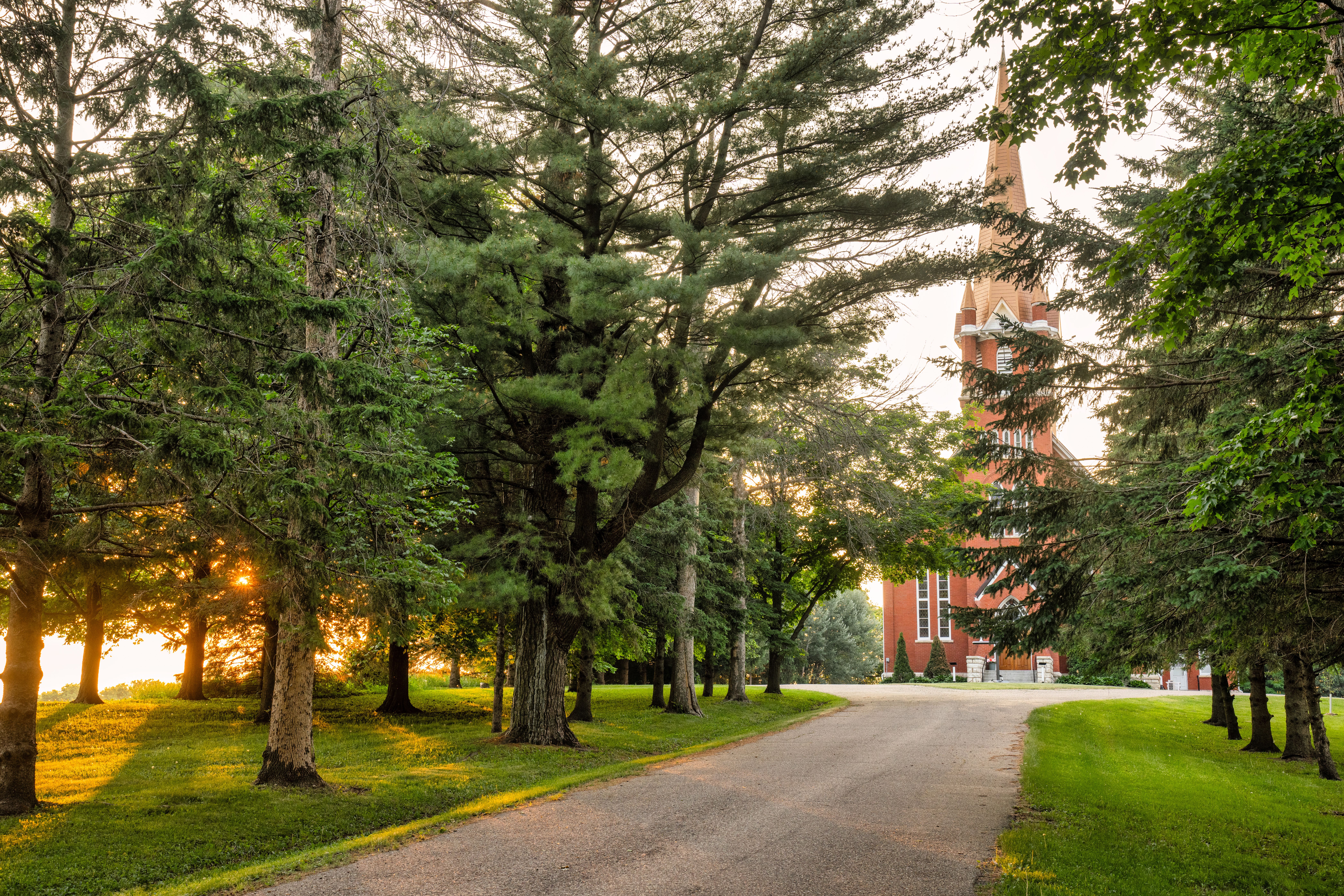 Alley in Park Leading to Church · Free Stock Photo