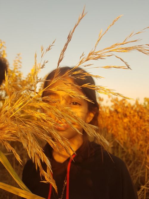 Free the evening sun  Stock Photo