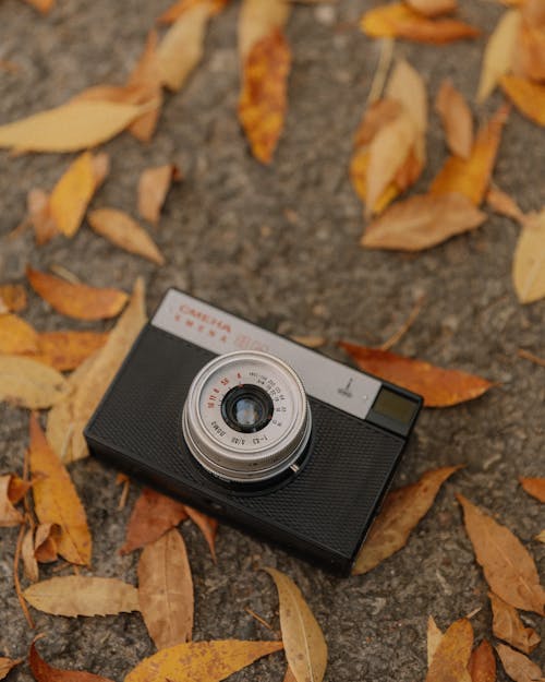 Analog Camera on Ground with Autumnal Leaves