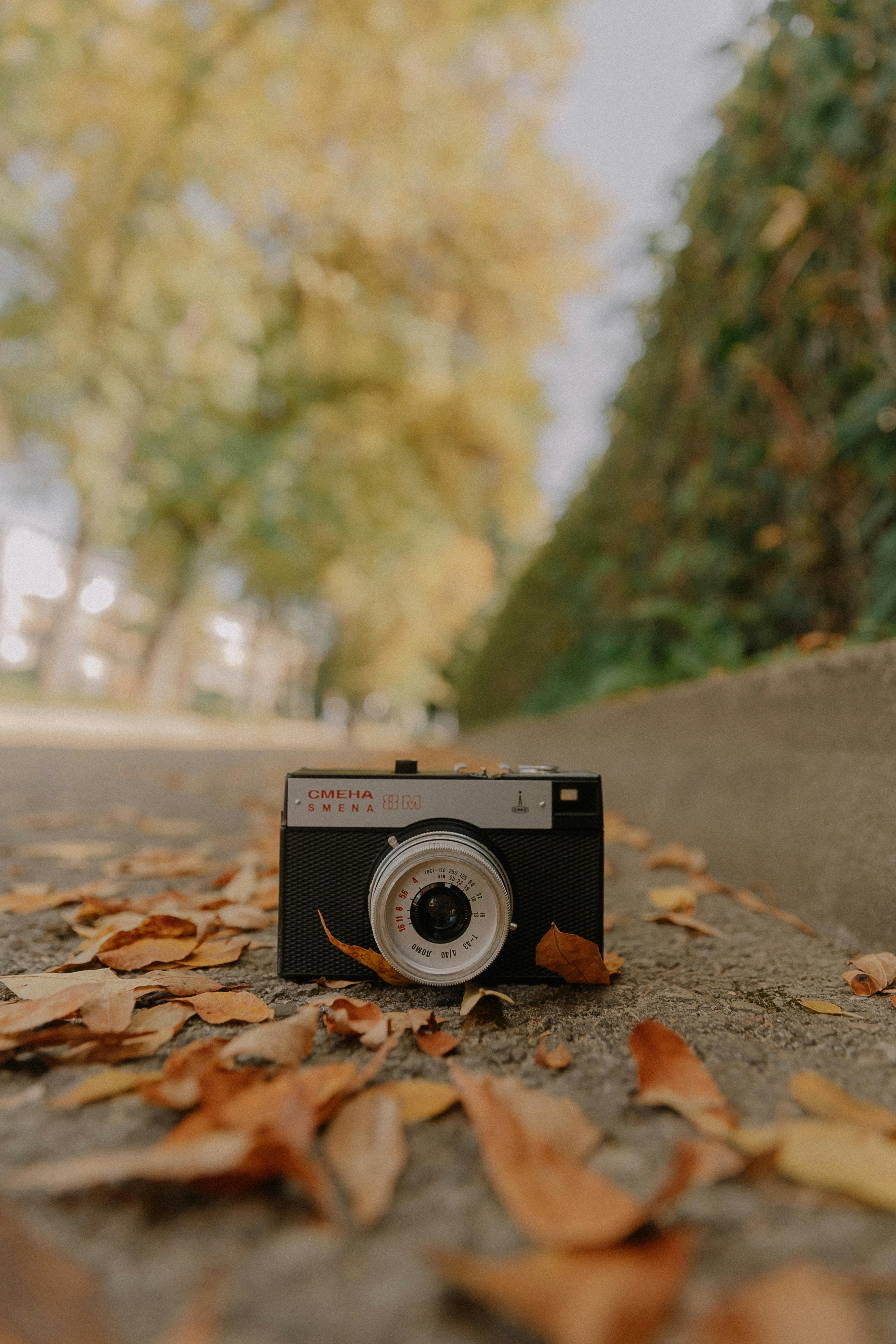 An analog camera placed on an urban street covered with autumn leaves, capturing the essence of fall.