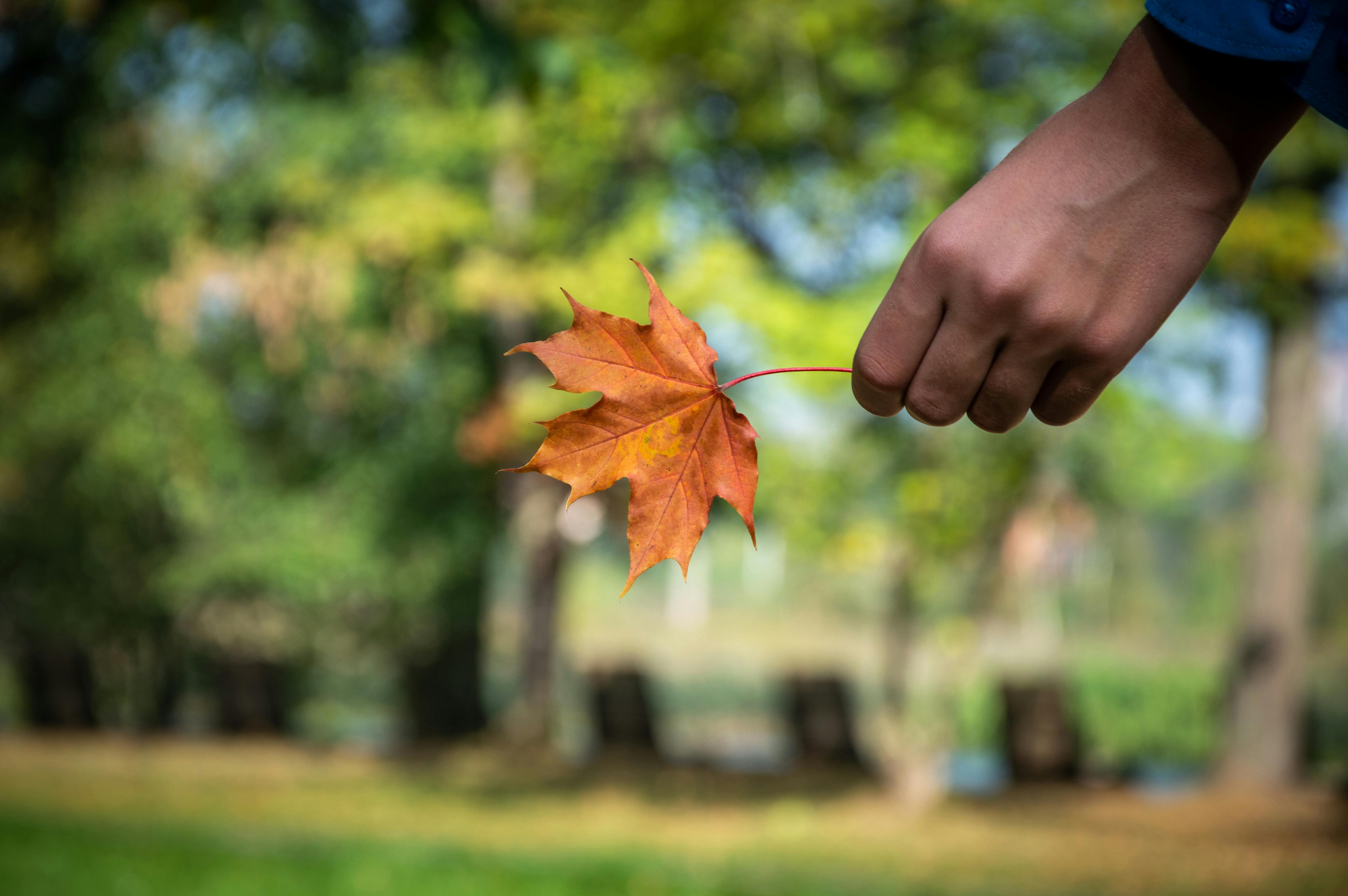 Perfect Honeymoon Dates