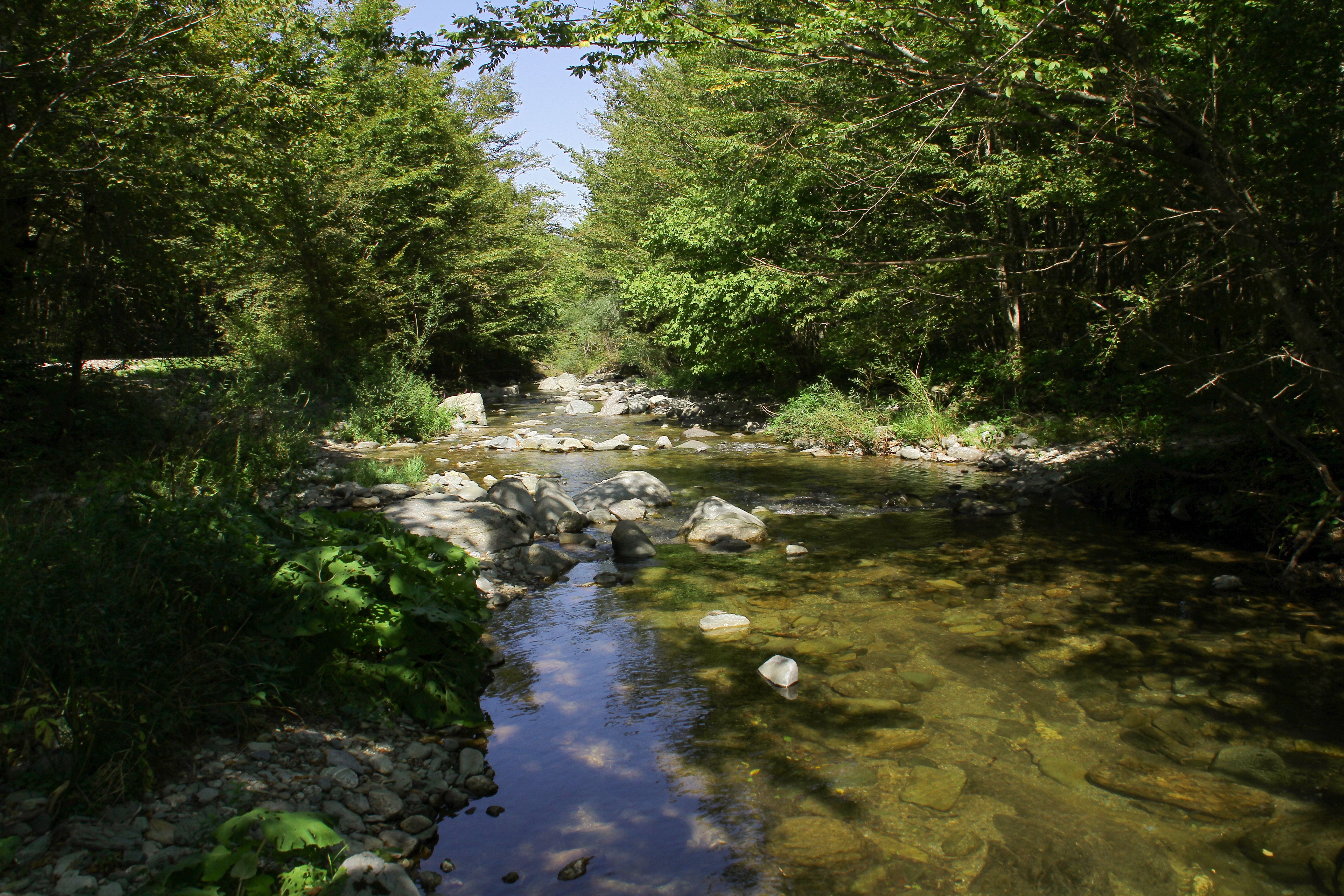 Evaluación ambiental en entorno natural