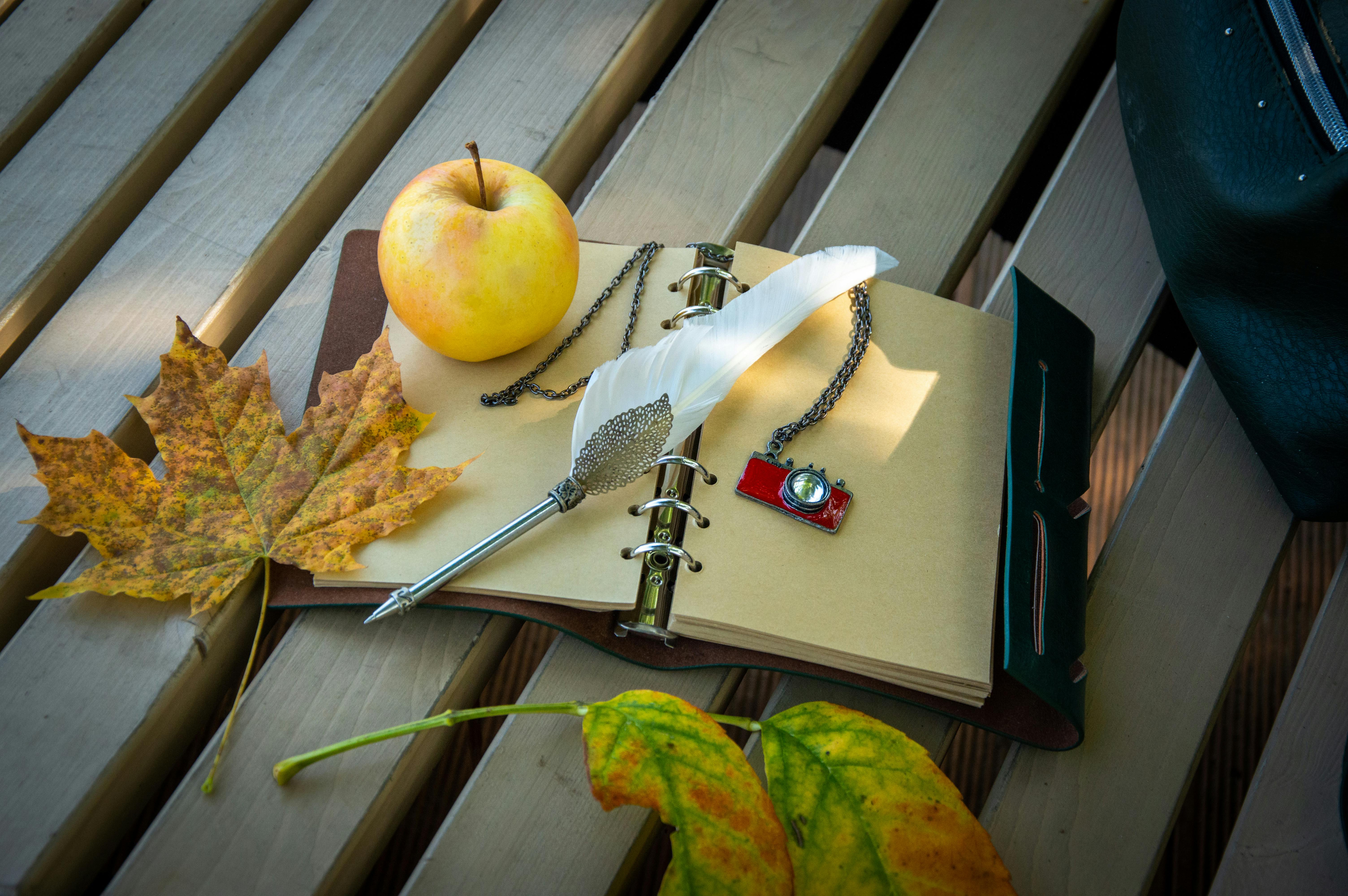A serene autumn still life scene with an apple, leaves, and an open notebook on a bench.