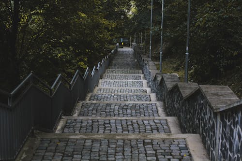 Gratis stockfoto met beton, bomen, handrails