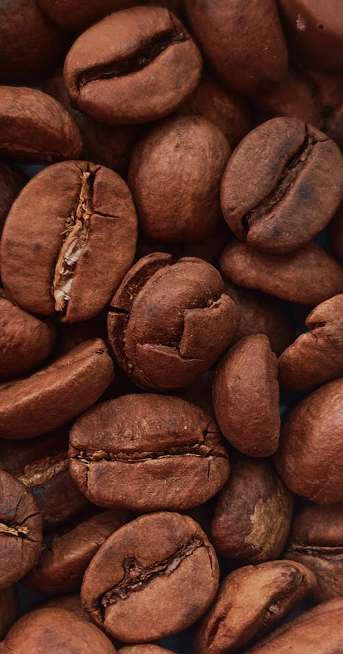 Free stock photo of coffe beans, coffee bean