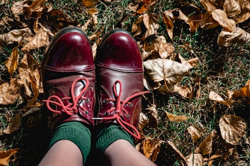 Fotobanka s bezplatnými fotkami na tému červené kožené topánky, javor, jeseň