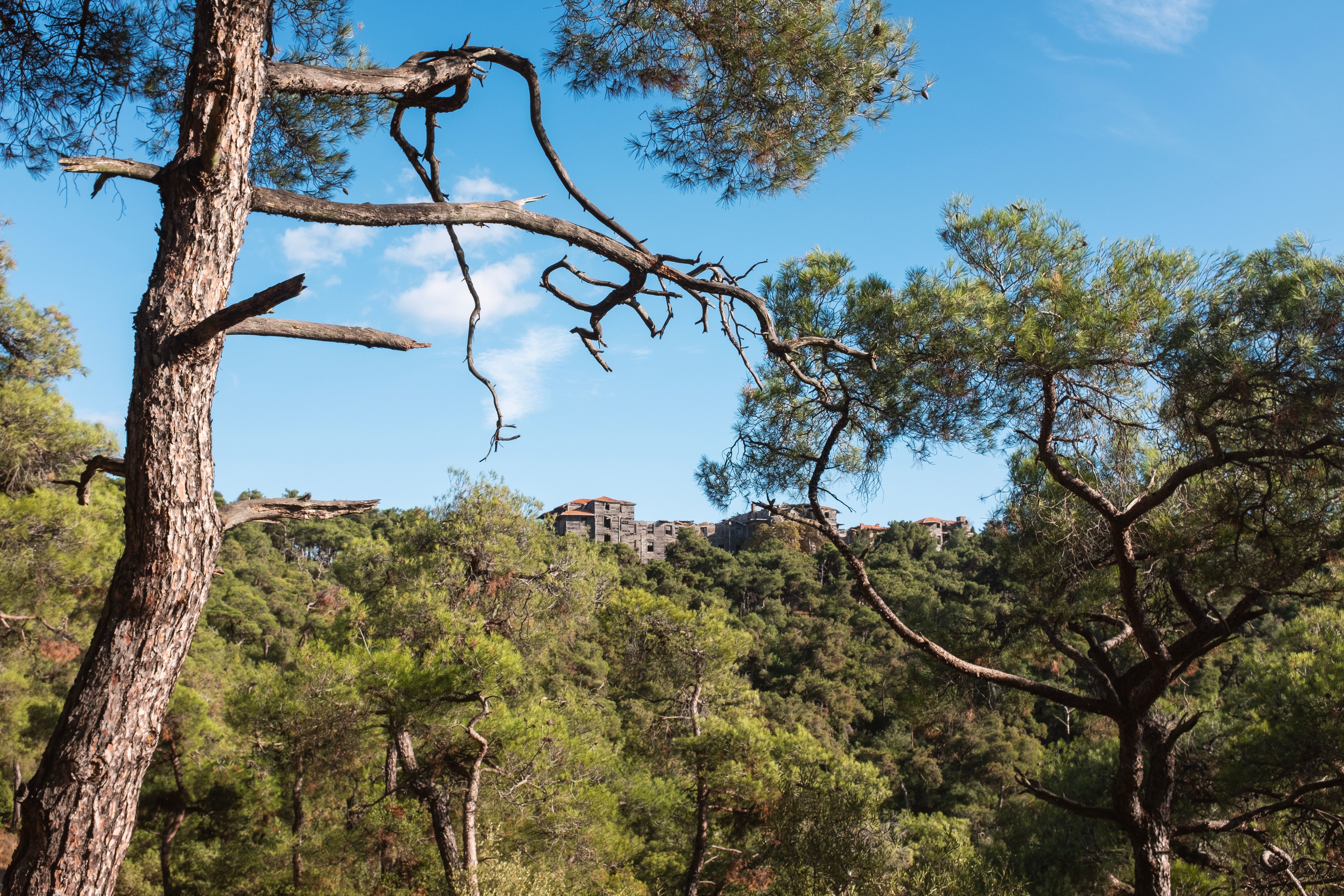 Stone hotel terraces and pine slopes at Pano Platres in the Troodos foothills