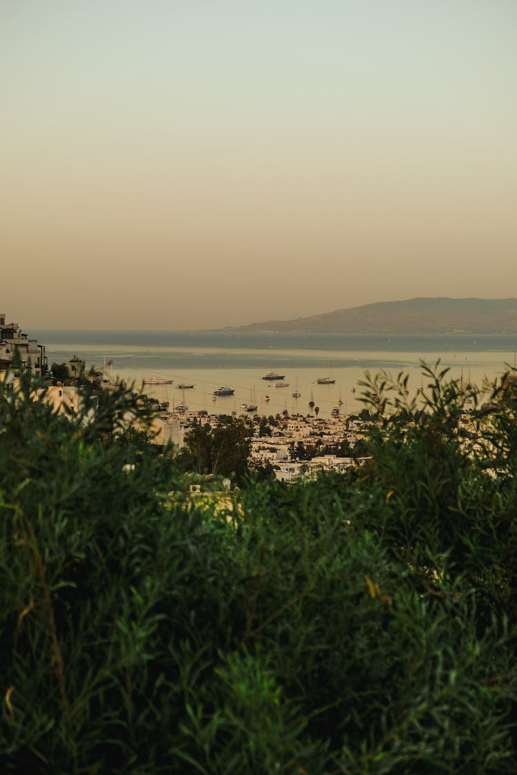 View Of A Port And Sea At Sunset 