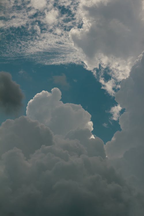 Gratis arkivbilde med blå himmel, cumulus, himmel