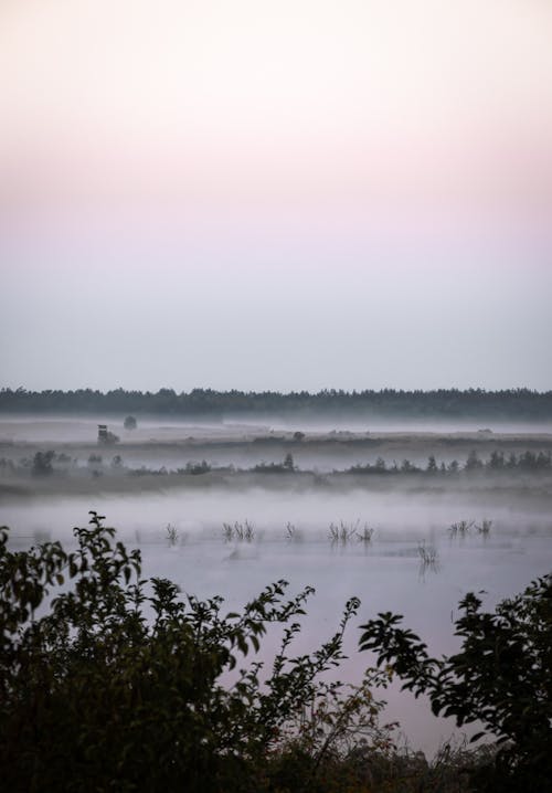 Darmowe zdjęcie z galerii z krajobraz, mgła, pionowy strzał