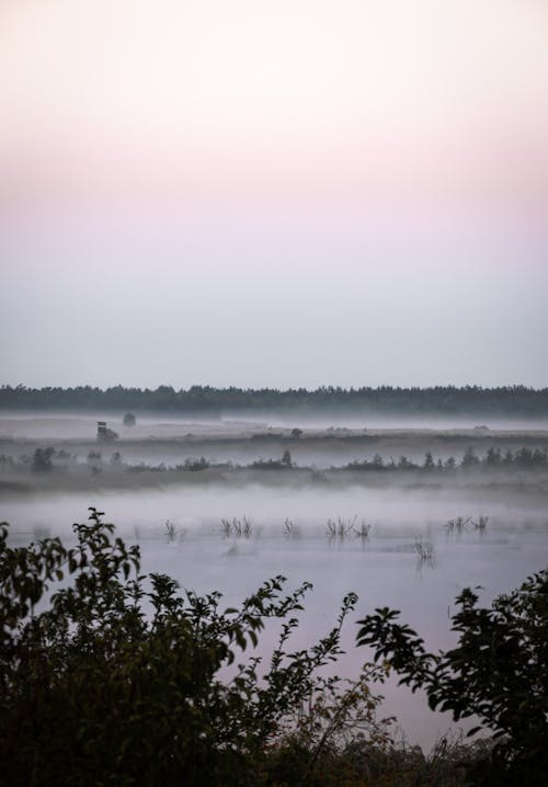 Gratis arkivbilde med daggry, landlig, landsbygd